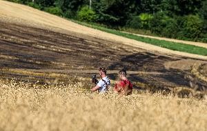 Flächenbrand - Einsatzkräfte kontrollieren den betroffenen Bereich Flächenbrand - Einsatzkräfte kontrollieren den betroffenen Bereich