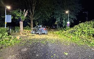 Umgestürzter Baum - Radlader bei der Beseitigung eines Windwurfs Umgestürzter Baum - Radlader bei der Beseitigung eines Windwurfs