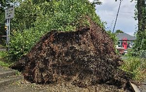 Flächenlage nach Unwetter - Bild 13 Flächenlage nach Unwetter - Bild 13
