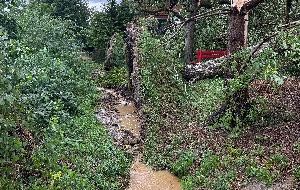 Flächenlage nach Unwetter - Bild 3 Flächenlage nach Unwetter - Bild 3