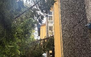 Flächenlage nach Unwetter - Bild 5 Flächenlage nach Unwetter - Bild 5