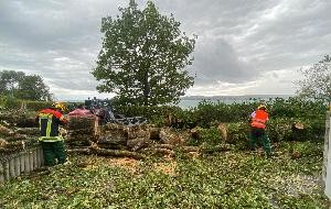 Flächenlage nach Unwetter - Bild 7 Flächenlage nach Unwetter - Bild 7